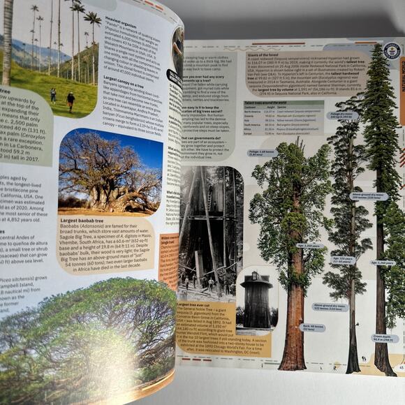 Guinness World Records 2022 by Guinness World Records - Pre Owned - Picture 9 of 9